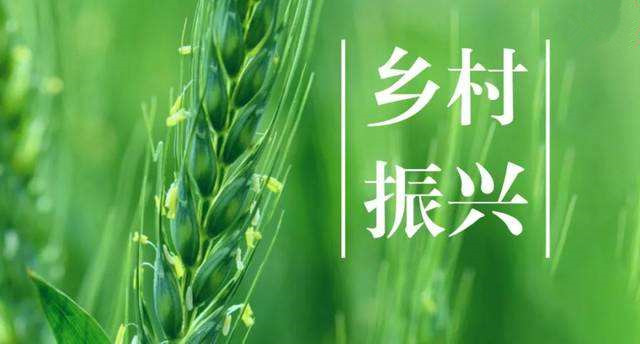 鄉村振興
